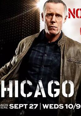芝加哥警署 第五季在线播放
