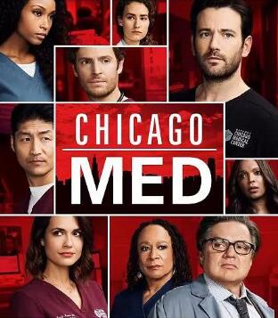 芝加哥医院 第三季在线播放