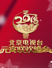 2018北京卫视元宵晚会在线播放