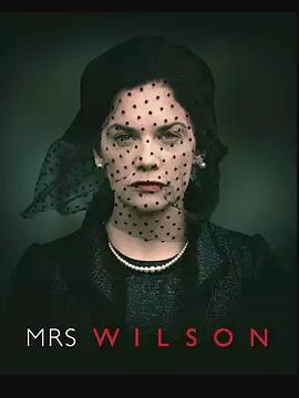 威尔森夫人第一季在线播放