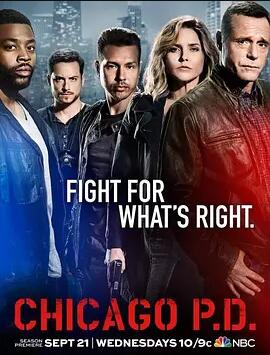 芝加哥警署第四季