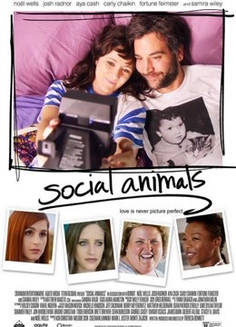 社交动物海报下载