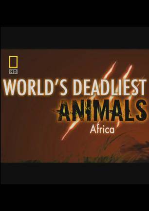 世界致命动物：非洲在线播放