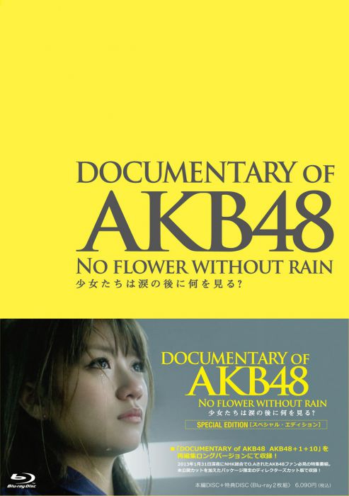 AKB48心程纪实3：少女眼泪的背后在线播放