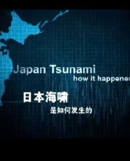 日本海啸是如何发生的在线播放
