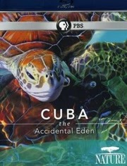 古巴：意外的伊甸园在线播放