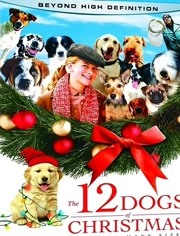 圣诞节的12只小狗在线播放